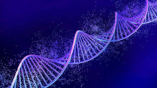 Hallmarks of Aging Explained Simply  12 Key Processes