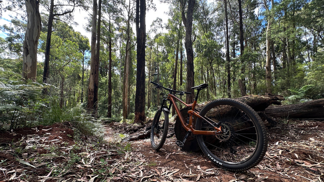 Pedal Power: Why Cycling May Be One of the Best Exercises for Healthy Ageing