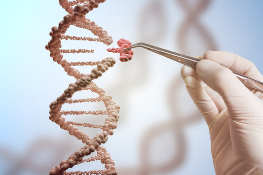 DNA Damage, Repair & Aging: What Science Says