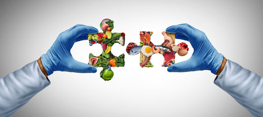 Protein vs Fasting for Longevity: The Science of Aging Better